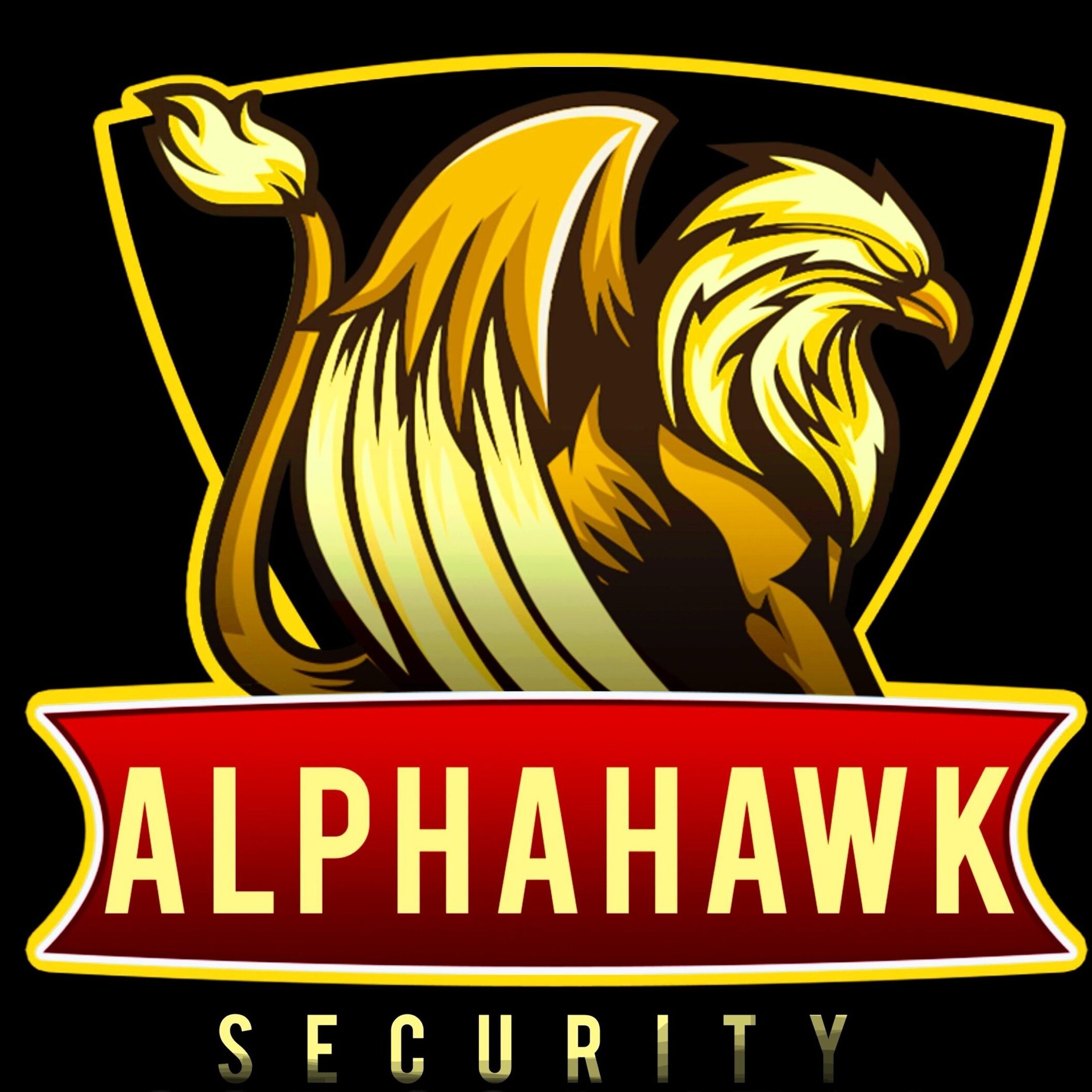 Alpha Hawk Security